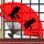 芈月传